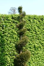arcen_150x225_010.jpg