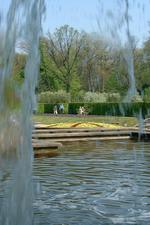 arcen_150x225_019.jpg