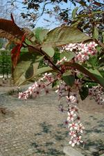 arcen_150x225_021.jpg