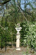 arcen_150x225_022.jpg