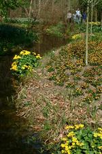 arcen_150x225_034.jpg