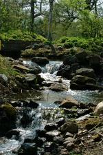 arcen_150x225_042.jpg