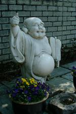 arcen_150x225_050.jpg