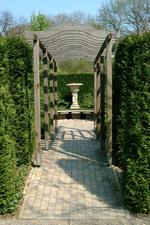 arcen_150x225_052.jpg