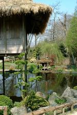 arcen_150x225_071.jpg