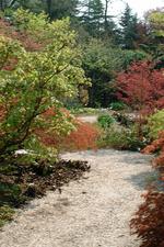 arcen_150x225_077.jpg
