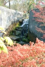 arcen_150x225_078.jpg