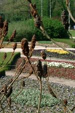 arcen_150x225_079.jpg