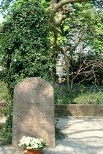 arcen_150x225_100.jpg