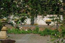 arcen_225x150_008.jpg