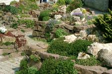 arcen_225x150_053.jpg