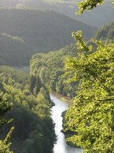 ardennen_162x216_007.jpg