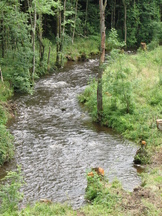 ardennen_162x216_033.jpg