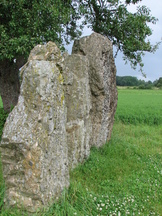 ardennen_162x216_038.jpg