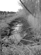 biesbosch_162x216_090.jpg