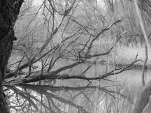 biesbosch_216x162_093.jpg