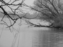 biesbosch_216x162_094.jpg