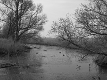 biesbosch_216x162_101.jpg