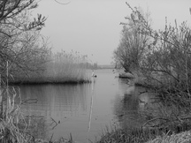 biesbosch_216x162_102.jpg