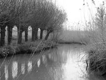 biesbosch_216x162_117.jpg