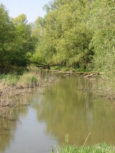 biesbosch_162x216_016.jpg