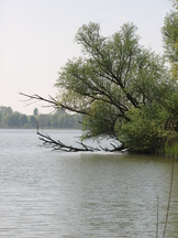biesbosch_162x216_020.jpg