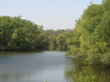biesbosch_216x162_007.jpg