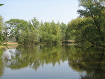biesbosch_216x162_008.jpg