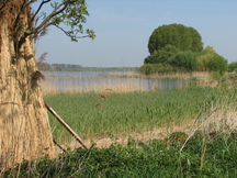 biesbosch_216x162_009.jpg