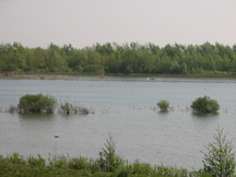 biesbosch_216x162_011.jpg