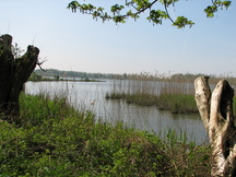 biesbosch_216x162_017.jpg
