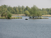 biesbosch_216x162_023.jpg