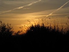 bevers_243x182_0467.jpg
