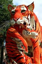 bloemencorso_150x225_030.jpg