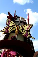 bloemencorso_150x225_052.jpg