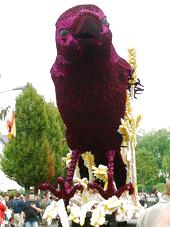 corso_170x227_024.jpg
