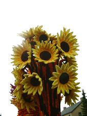 corso_170x227_038.jpg