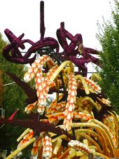 corso_170x227_048.jpg