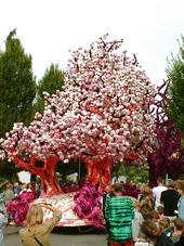 corso_170x227_060.jpg