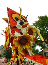 corso_170x227_067.jpg