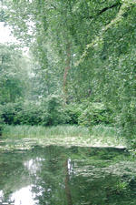 bouvigne_150x225_005.jpg