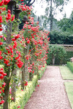 bouvigne_150x225_016.jpg