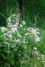 bouvigne_150x225_017.jpg
