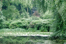 bouvigne_225x150_004.jpg
