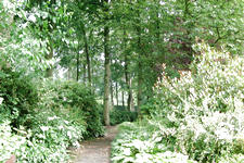 bouvigne_225x150_022.jpg