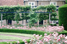 bouvigne_225x150_071.jpg