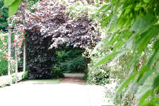 bouvigne_225x150_074.jpg