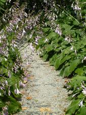 bouvigne_170x227_012.jpg