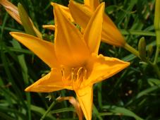 bouvigne_227x170_011.jpg