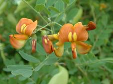 bouvigne_227x170_029.jpg